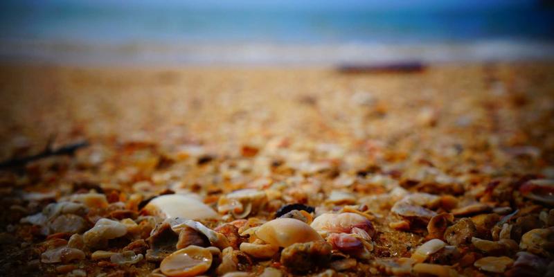 武汉妈妈必备！2024最新少儿医保门诊统筹签约报销全攻略，手把手教你省心省钱